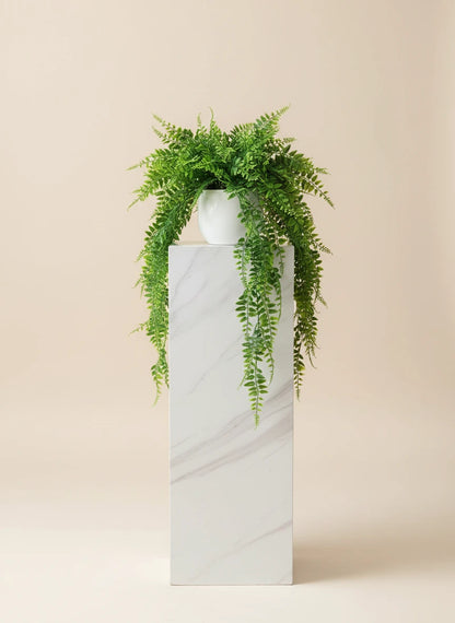Luxury Potted Plant – Natural Air Purifier for Home or Office