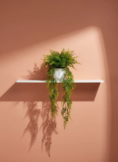 Luxury Potted Plant – Natural Air Purifier for Home or Office