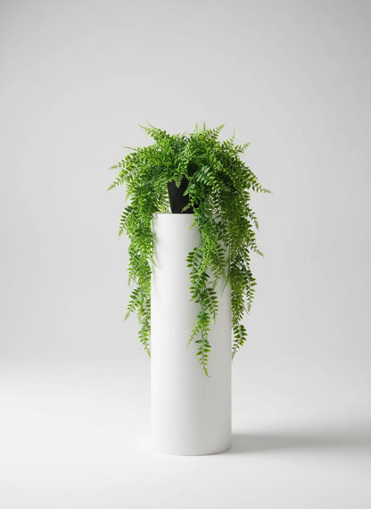 Luxury Potted Plant – Natural Air Purifier for Home or Office